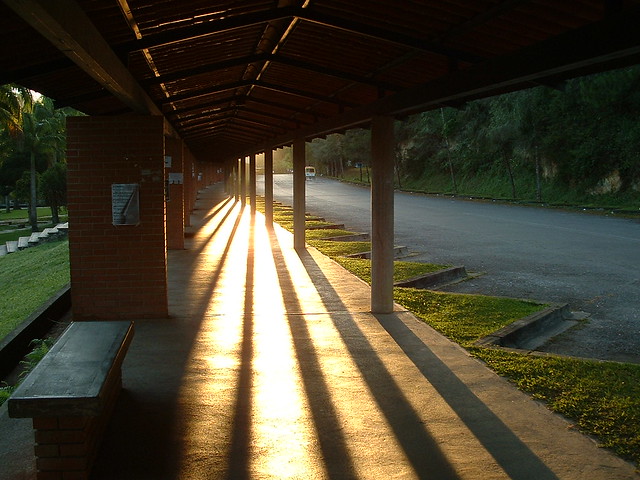 morning column rays