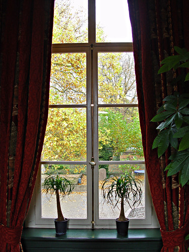 DSC04803 ....das Fenster.... by Niederrheiner