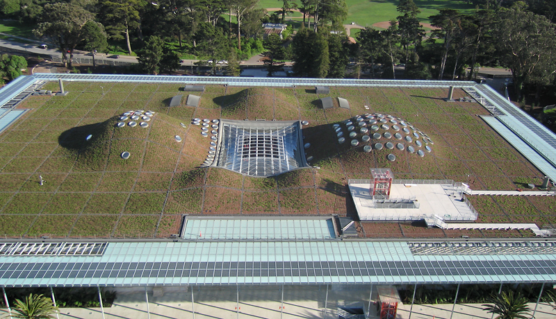 Sod roof, California Academy of Sciences by Michael Layefsky