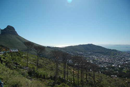 Cape Town