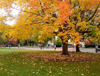 It's Fall | The trees are changing their colors at Penn Stat… | ong ...