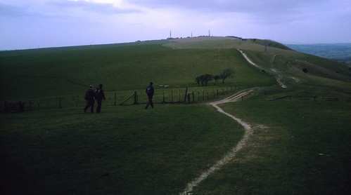 Hassocks to UpperBeeding Off-piste on the South Downs. D.Allen Vivitar 5199mp