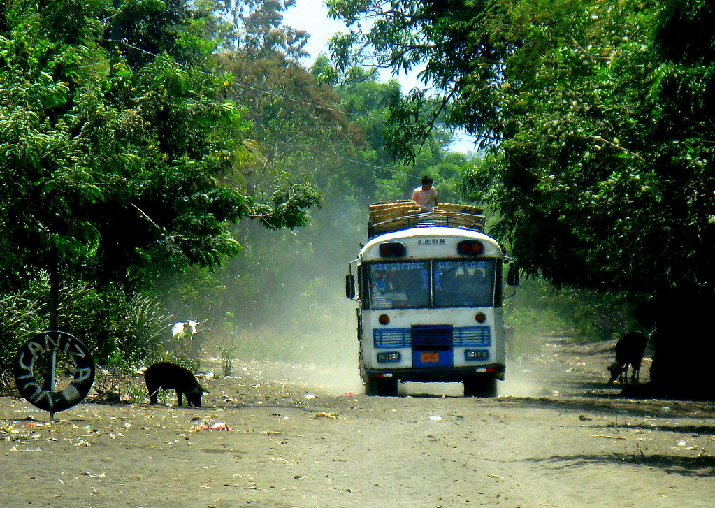 2008 - 03 - 24 - bus pig & cows - Leon Province by Mississippi Snopes