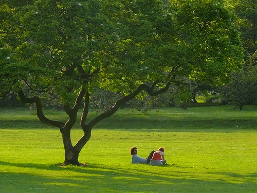 Couple beneath tree, Bute Park, Cardiff.