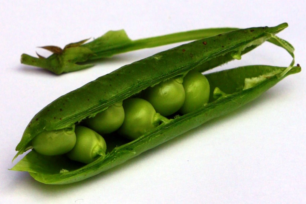 Peas in a pod | There were peas in our vegetable box this we… | Flickr
