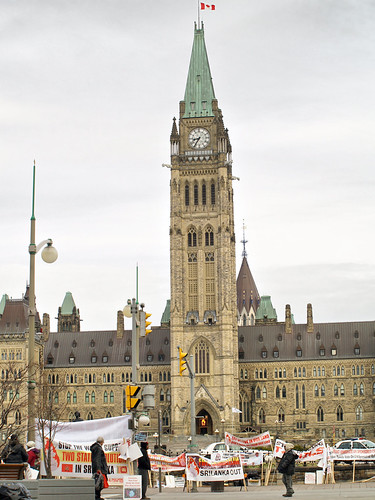 Confounding Protest | by DenaP :)