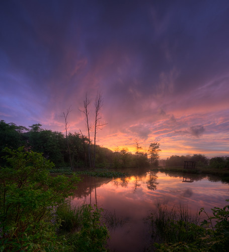 sunset landscape pond md dusk sigma swamp thunderstorm 1020 hdr odenton vertorama
