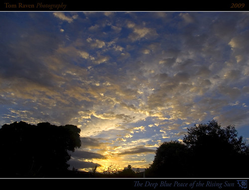 blue trees newzealand sky sun clouds sunrise geotagged gold dawn framed silhouettes 2009 soe 20favs otakibeach skycloudssun flickrenvy theselectbest tomraven geo:lat=40735478 geo:lon=175122961 q109