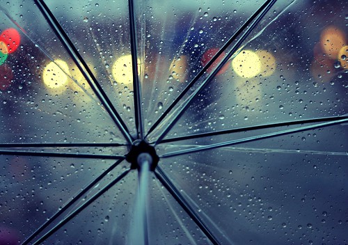 Under my umbrella | Been raining for two days straight now. … | Flickr