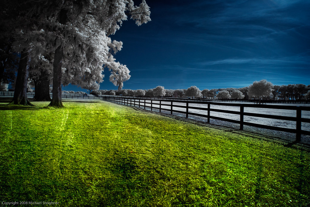 Sometimes the grass IS greener by MDSimages.com