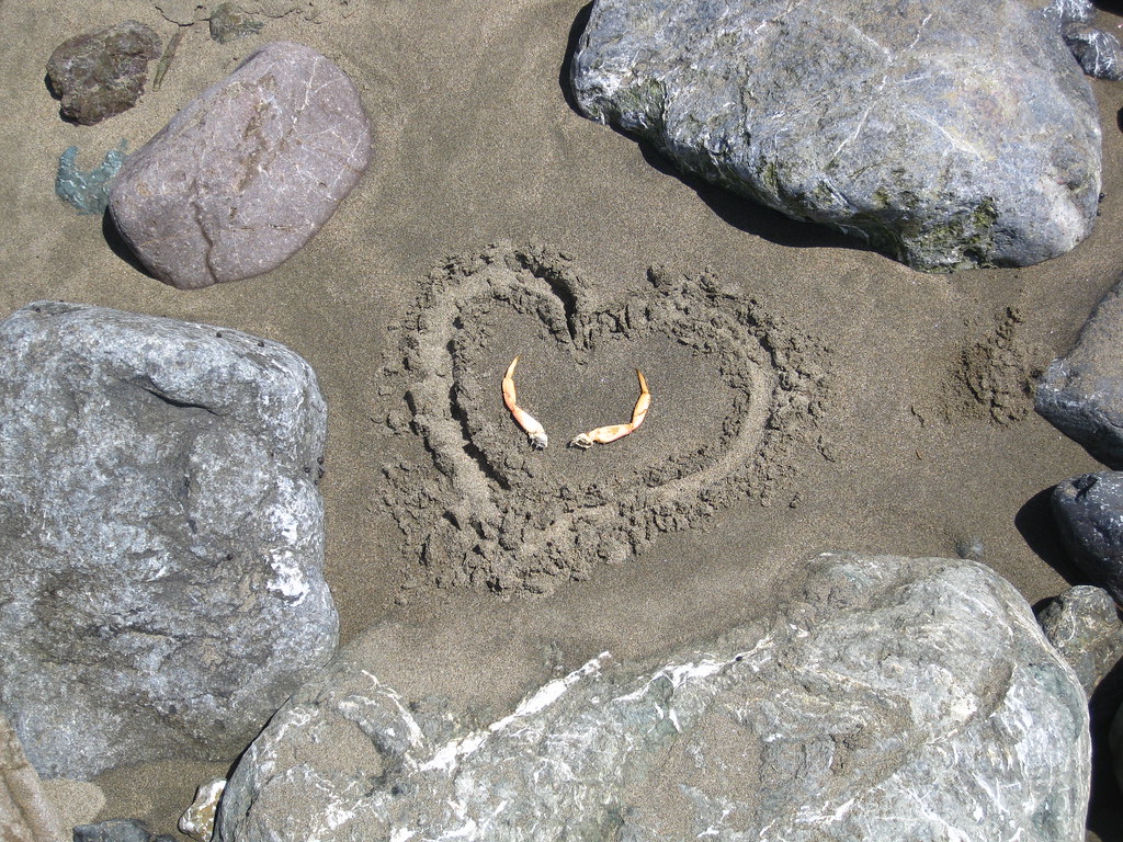Crabby Love