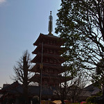 Asakusa Temple Pagoda