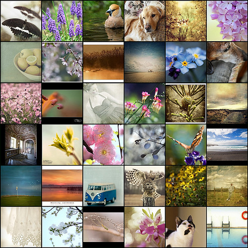 i love your work 48 | by *silviaON