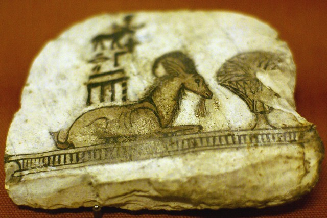 Torino, Museo Egizio, Ostrakon, Widder des Gottes Amun (ostracon, ram of the God Amun)