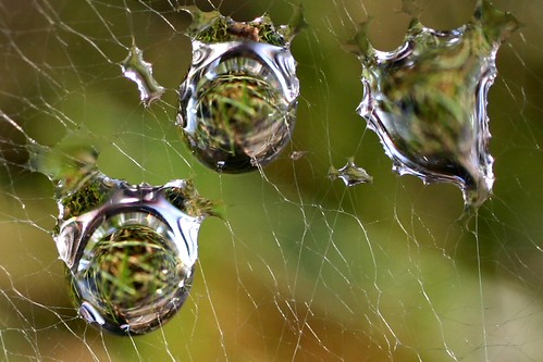Web Drops For Robin | by evilgreg3000