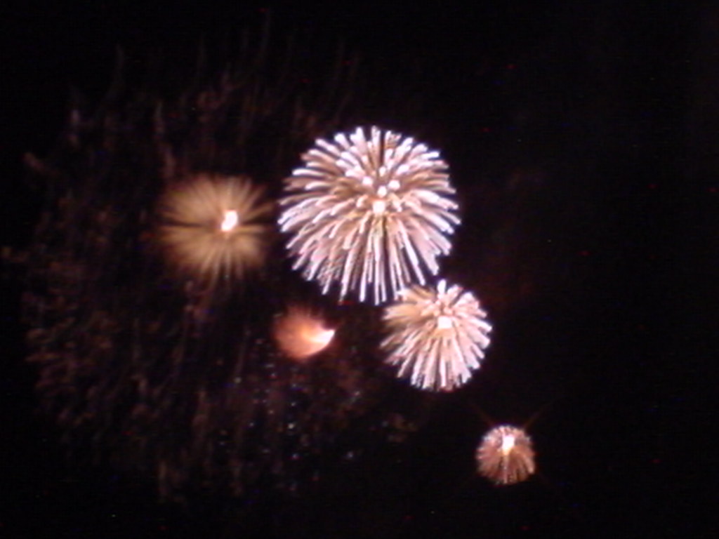 Australia Day Fireworks