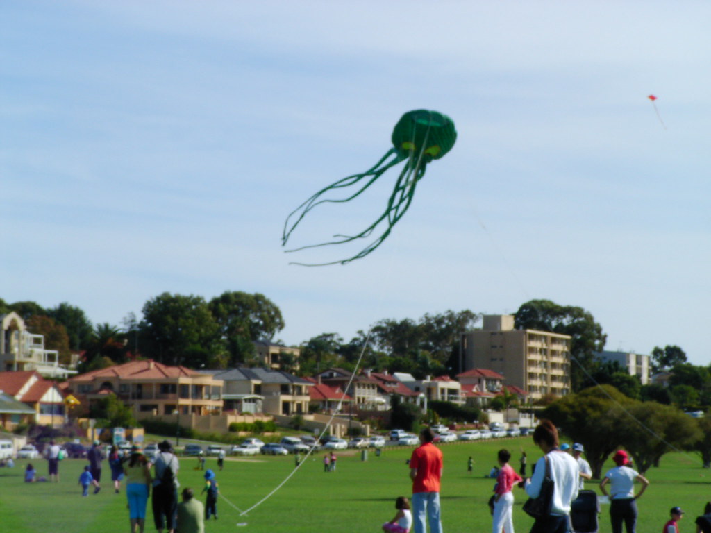 Attack of the Octopus Kites