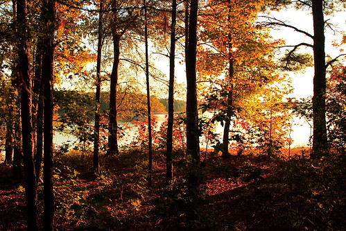 parque autumn sunset lake 20d nc otoño 28135mm harrislake harrislakecountypark