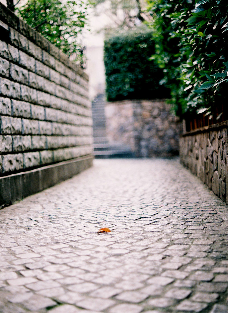 one leaf