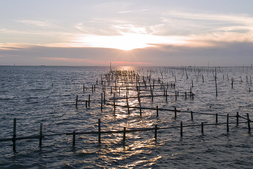 Sunset by 米奇 黃, SIGMA DP2Xsea taiwan sigma 夕陽 海 嘉義 東石 foveonx3 網寮漁港 dp2x
