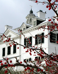 The Mount in snow with crabapples by David Dashiell.jpg