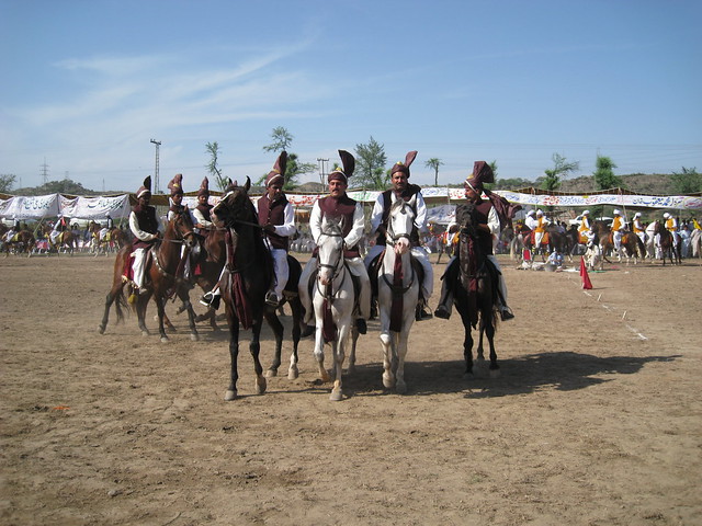 Horse Show 2009