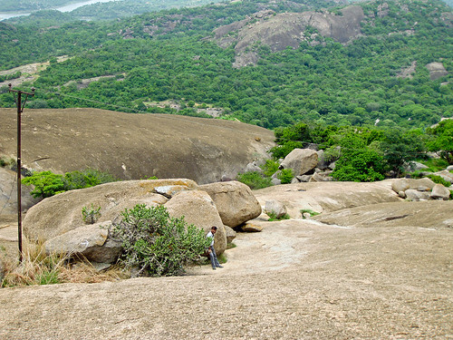 india tree rocks hill granite karnataka indien felsen dschungel savandurga hügel ind granit manjunath
