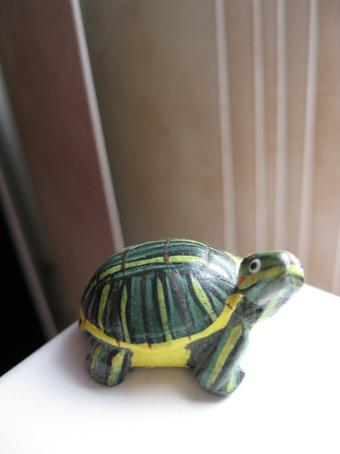 turtle | by amy bale