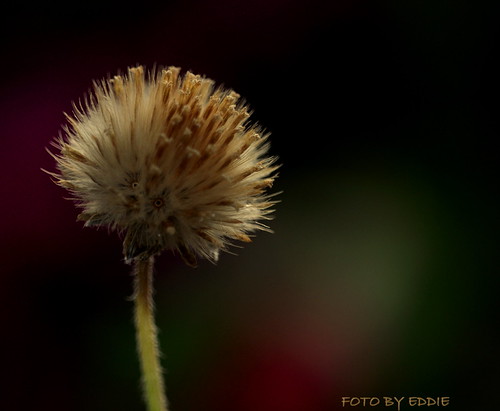switch on..... | by Eddie for u
