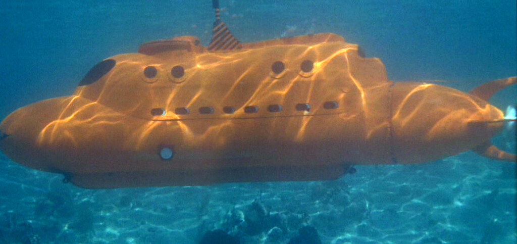 Underwater Flipper Sub