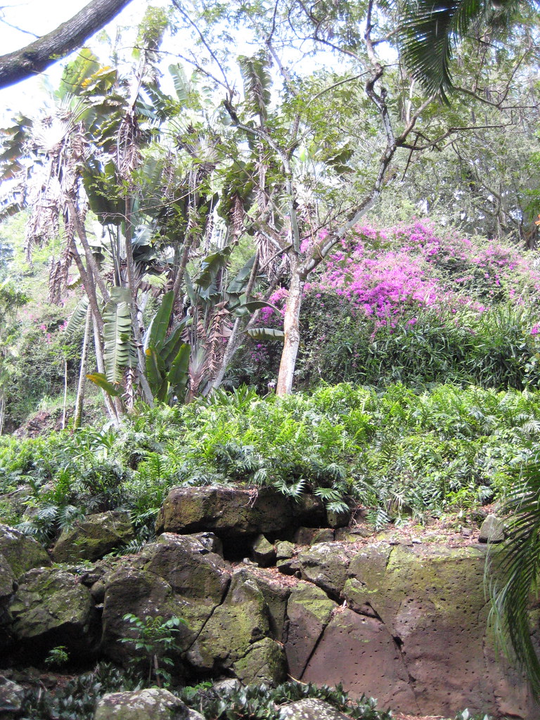 National Tropical Botanical Garden Kauai Kevin Oliver Flickr