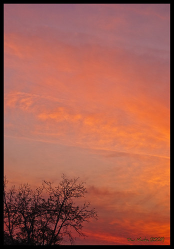 Sunset by Dan Muntz, Sunset

<a href="http://www.danmuntz.com/flickr/onblack.php">View on Black</a>sunset sky orange tree