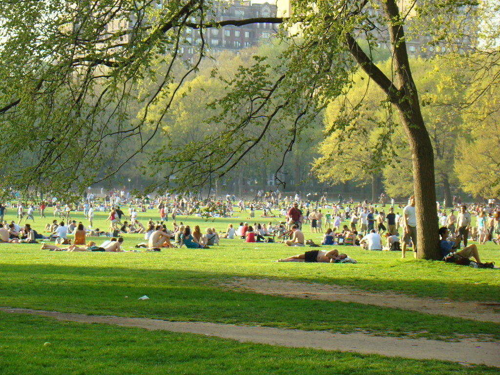 Sunbathing in Central Park, NYC | Marion TD Lewis | Flickr