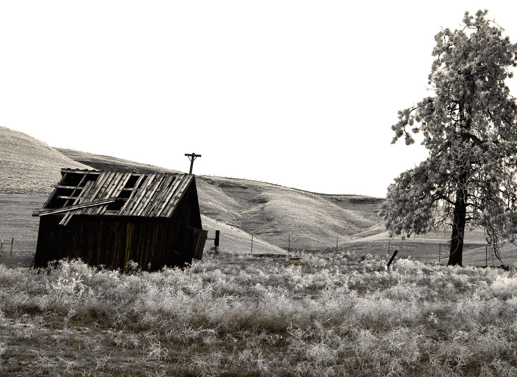 Sagebrush Shack | An old abandoned shack shares this barren … | Flickr