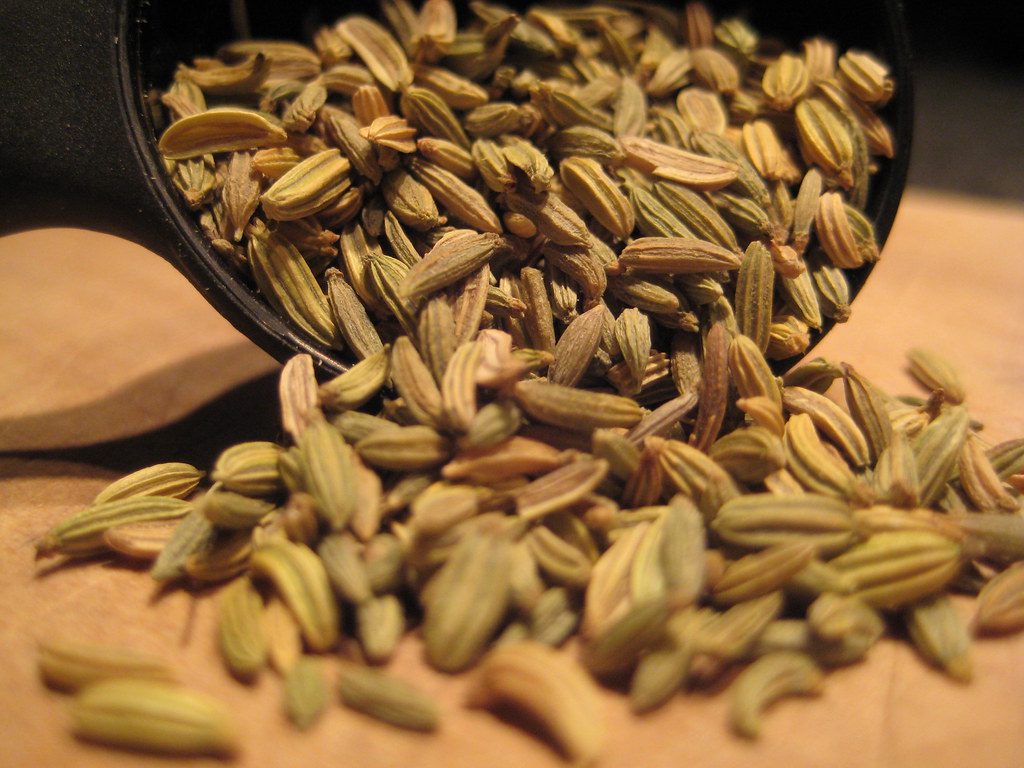 Fennel Seed | Fennel Seed. See the recipes featuring this ...
