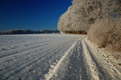 Cold Lines 2 by DerNetteAlex