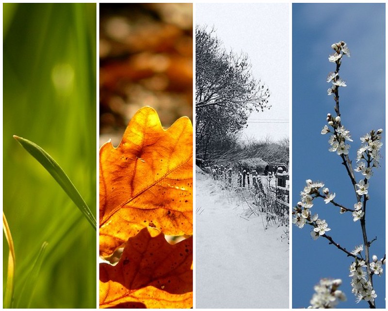 Four Seasons in One Day