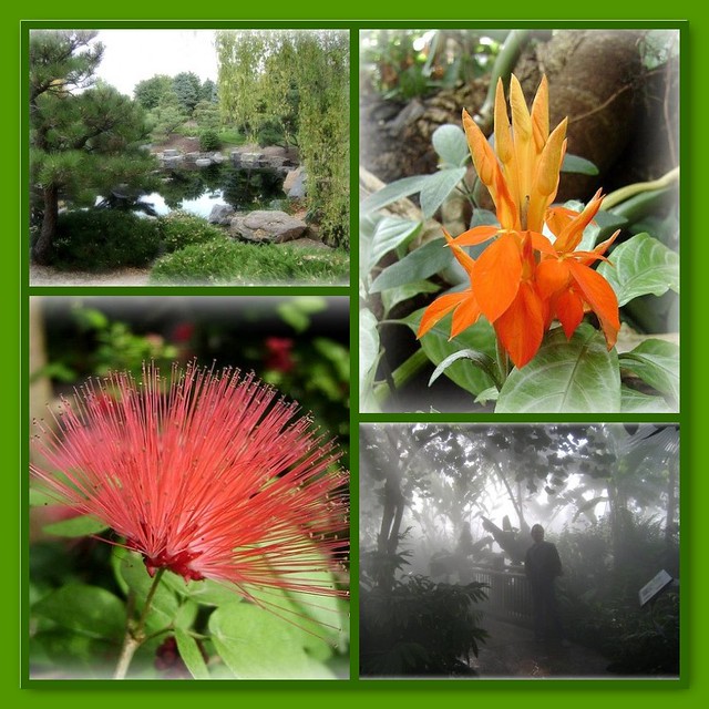 Denver Botanic Gardens (collage)