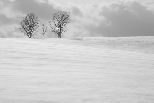 Parent and child | by K.Hatanaka