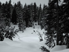 Snowshoe adventure at Mt. Seymour
