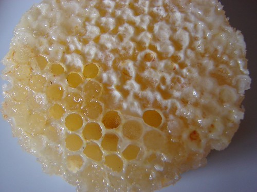 Comb Honey | by sallyNZ
