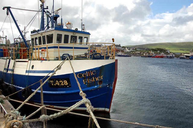 Celtic Fisher, Dingle Town