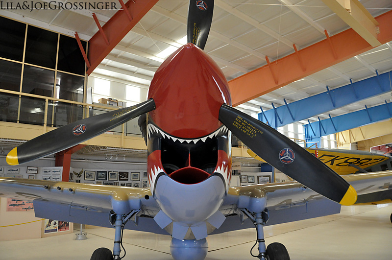 Flying Tiger Curtiss P-40