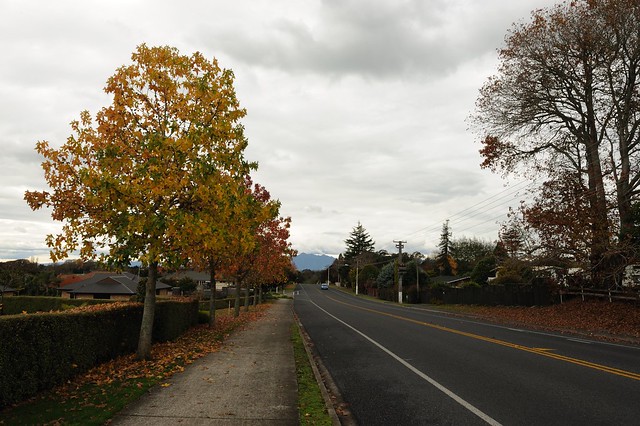 Autumn in Waikato