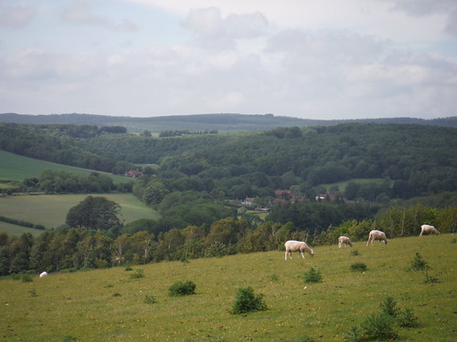 West Dean from Haye's Down SWC Walk 239 Halnaker to Chichester via Cass Sculpture Park and Goodwood