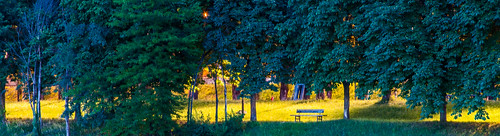 park light sunset tree nature colors horizontal contrast river bench torino gold alone emotions turin feelings lightroom d90 fav10 goldhour