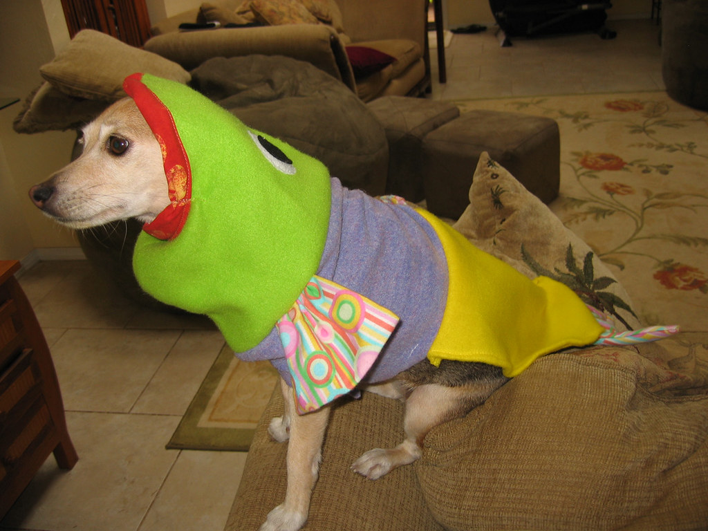 Lucy dog fish costume Costumes I made for our three