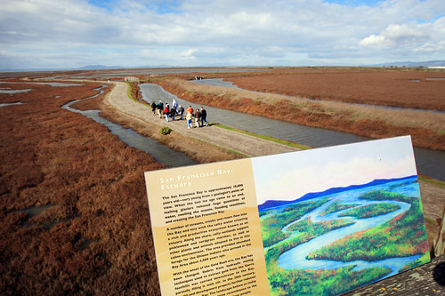 HAYWARD AREA REC DEPT BIRDWATCHING EXCURSION | by mykstax