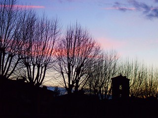 Alberi, campanile e tramonto
