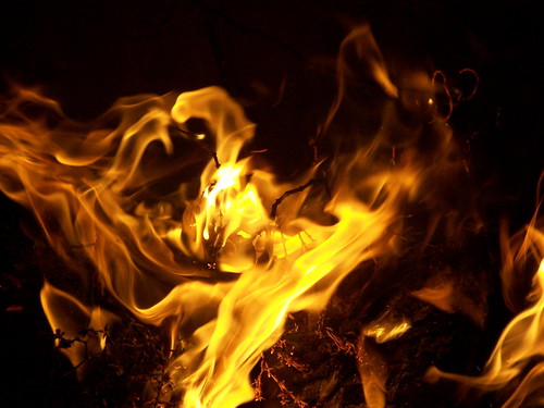 Camp Fire Original | by Mantis a la Mode